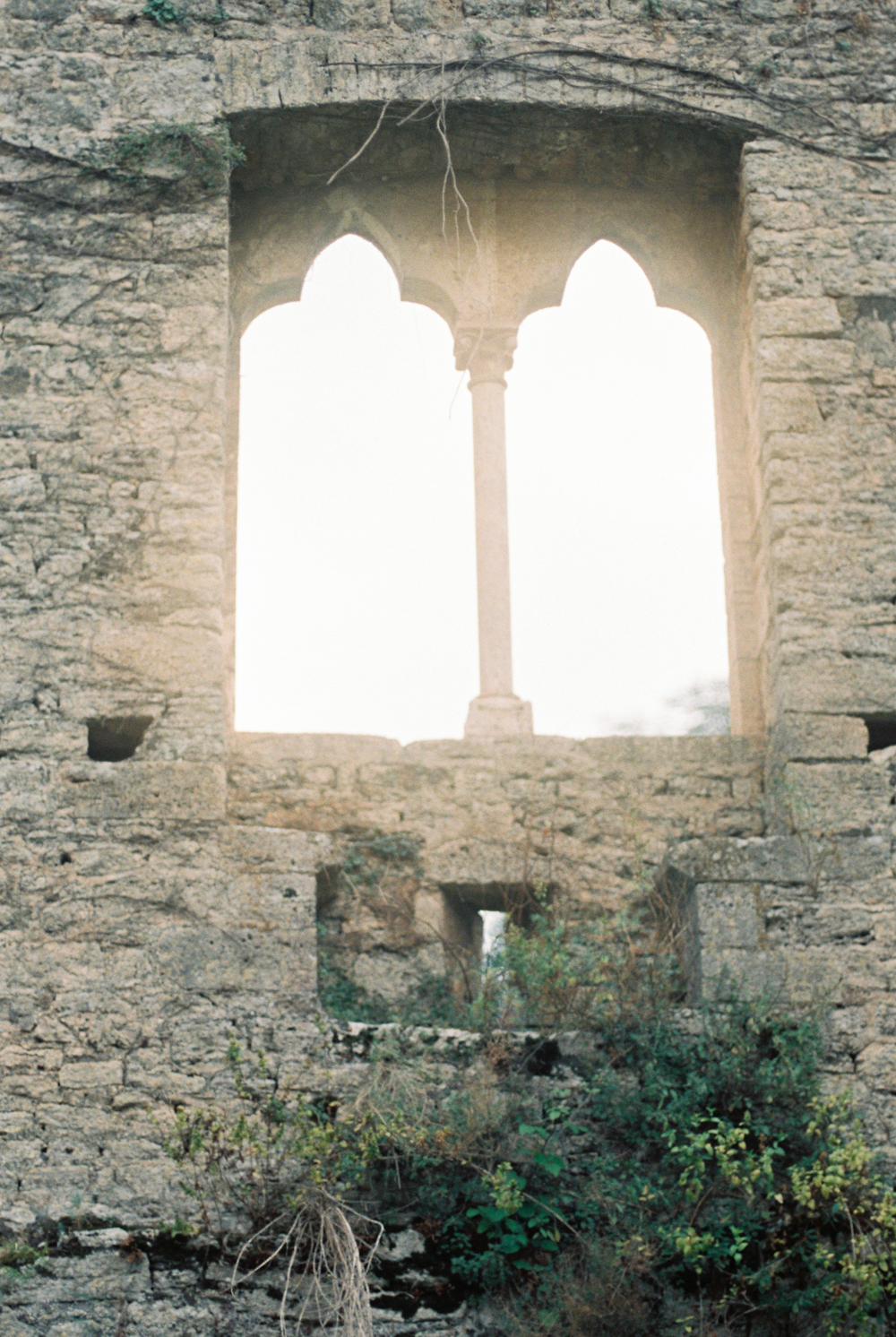 Gardens of Ninfa in Italy