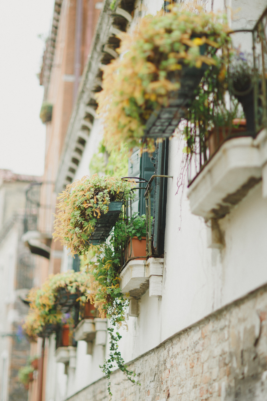 Venice Bride