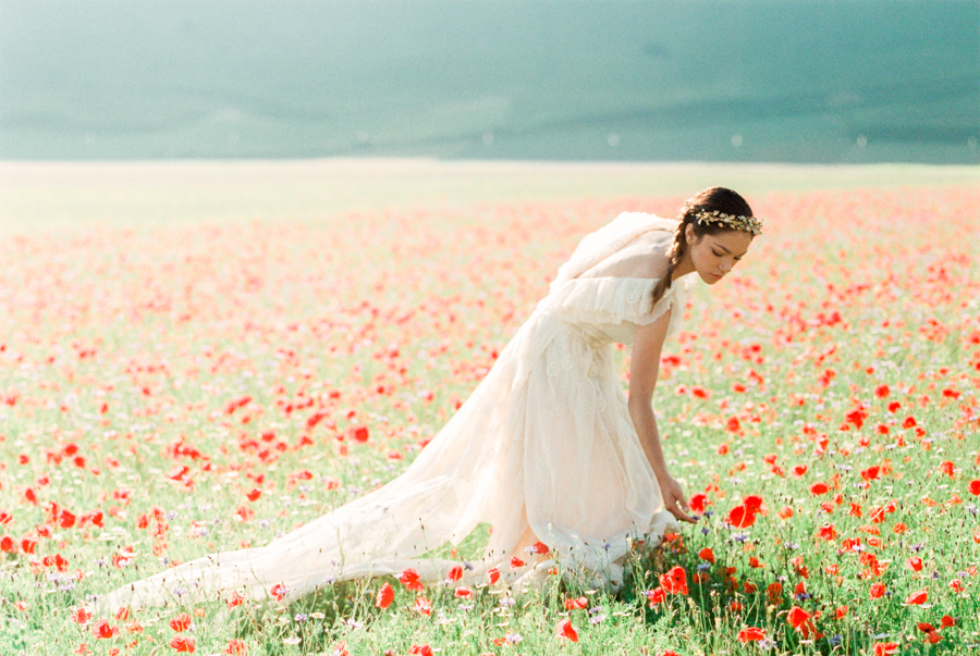 The Flowering of Castelluccio di Norcia Film