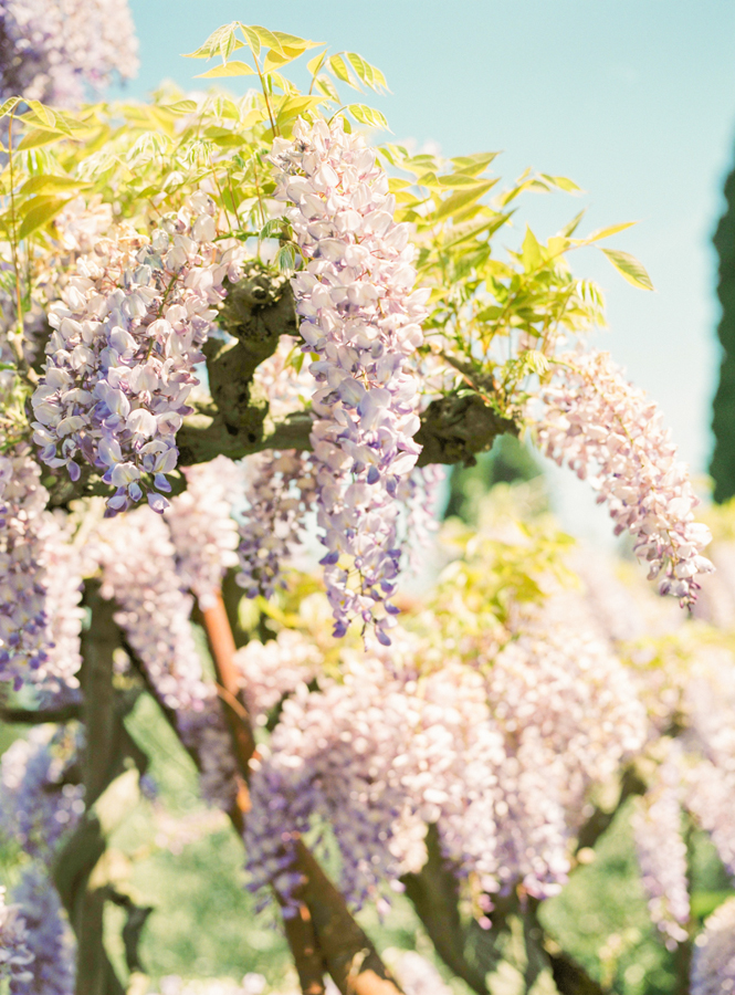 Elegant Tuscan wedding in Florence Film