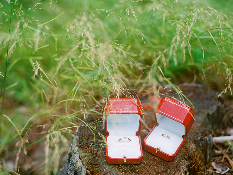 Rustic wedding with horses and owl in Dobromysli Film