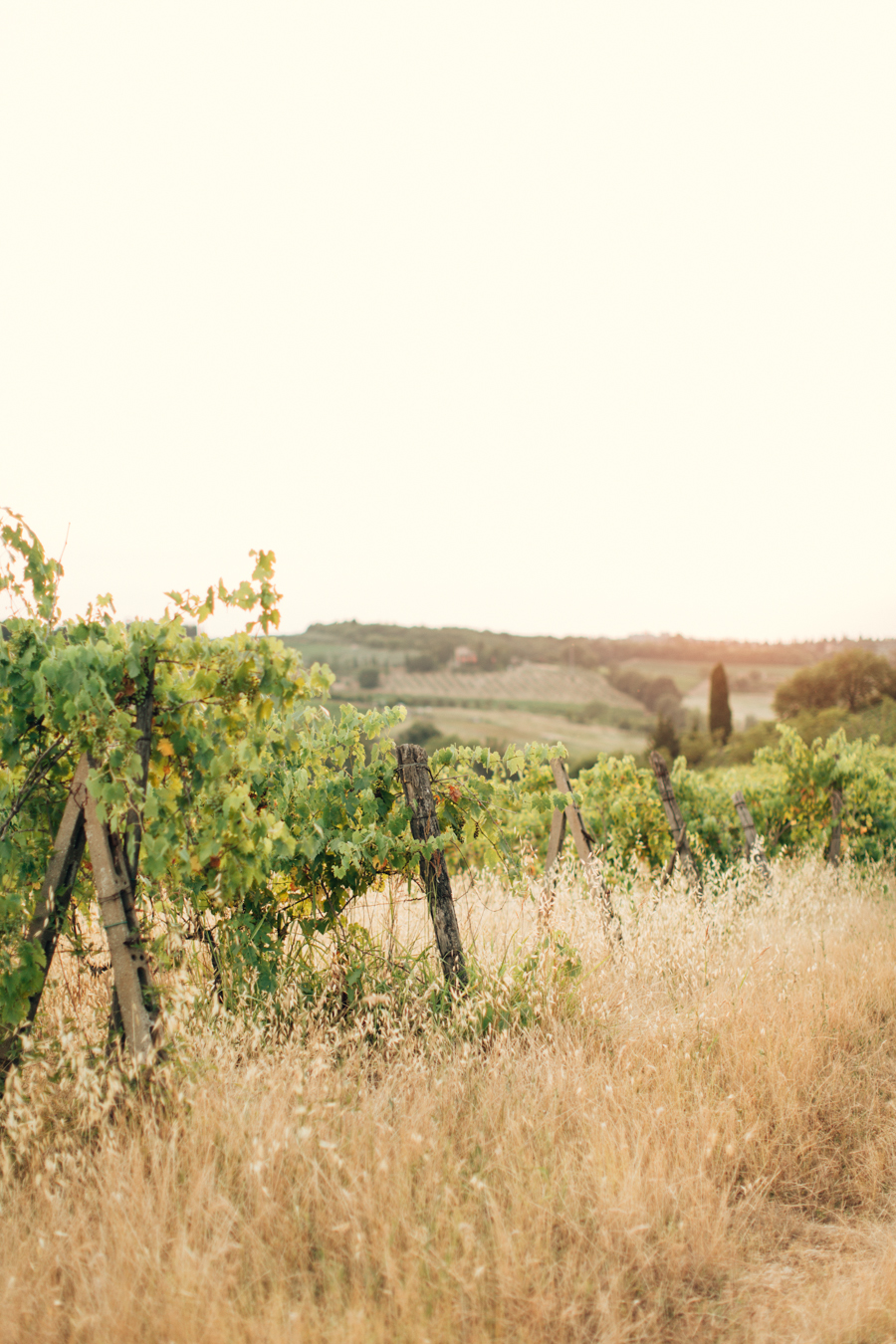 Tuscan hills engagement