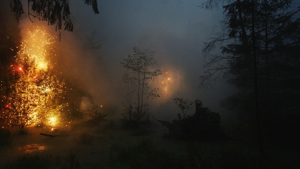 FIREWORKS ON THE SWAMP