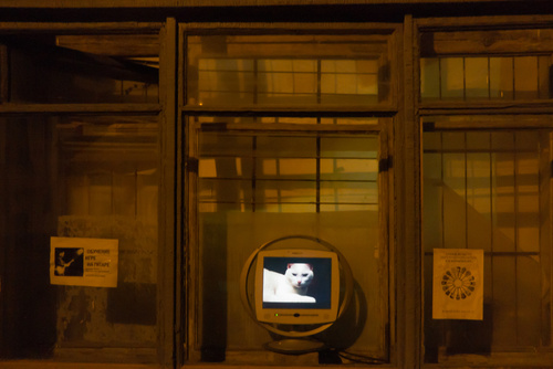 One night of video art, 2013