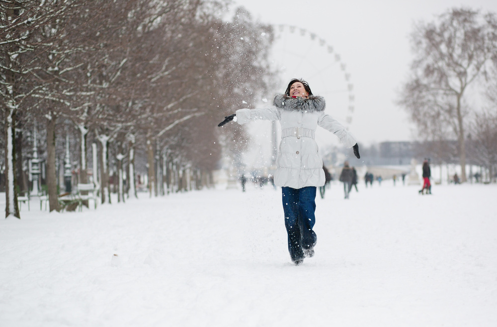 Snowy day in Paris