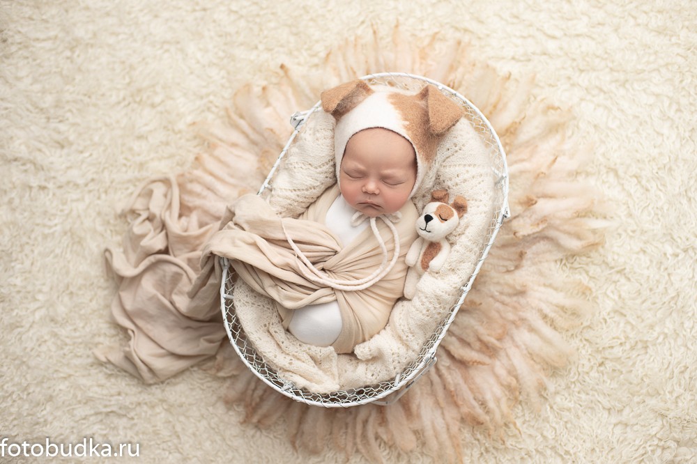 фотограф новорожденных, Юлия Абдулина фотограф