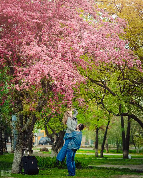 Влюбленные сердца