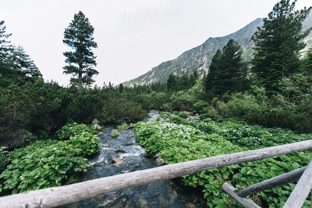 Slovakia | Natasha & Andrey