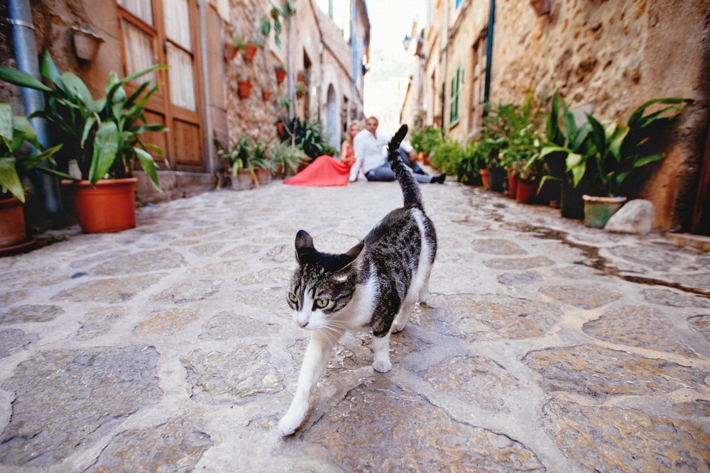 Spain, Mallorca, Valldemossa | Sasha & Misha