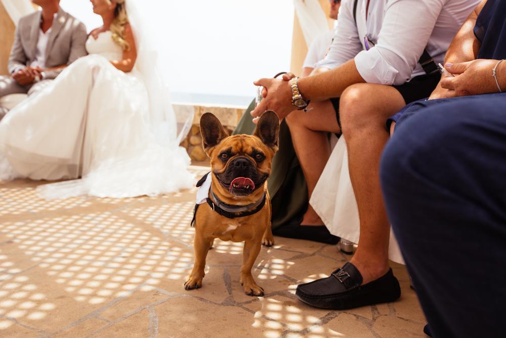 Cala Millor, Spain | Anja & Tobias 