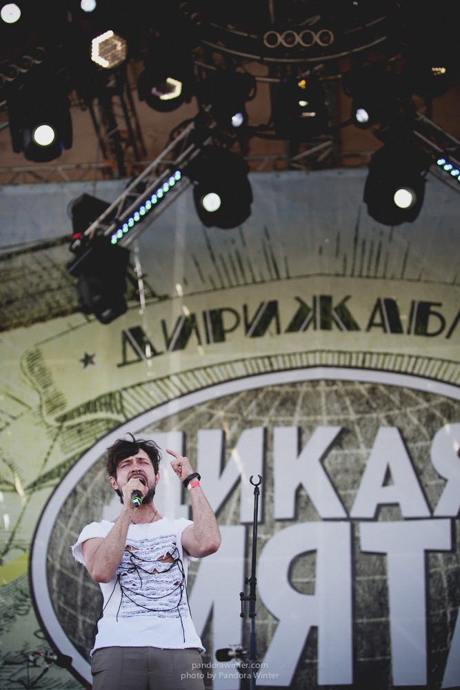 WILD MINT FEST@ Этномир, Калужская обл., 13/14/15-06-2014  