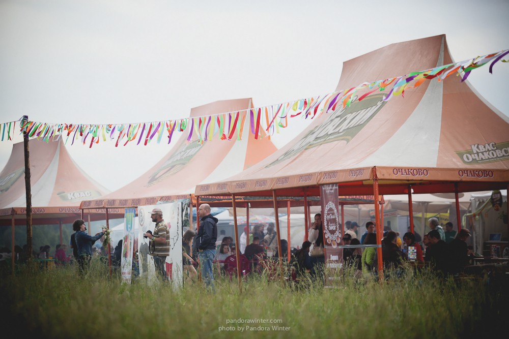 WILD MINT FEST@ Этномир, Калужская обл., 13/14/15-06-2014  