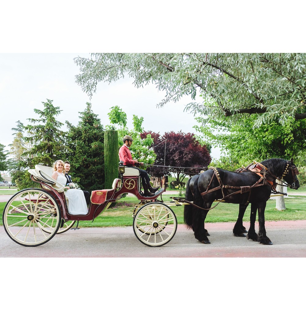 Boda Ewa y Borja (Alcalá de Henares, Finca El Olivar, mayo 2017)