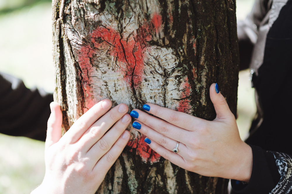  Preboda Ewa y Borja (Madrid, Parque La Quinta de Los Molinos, febrero 2017)