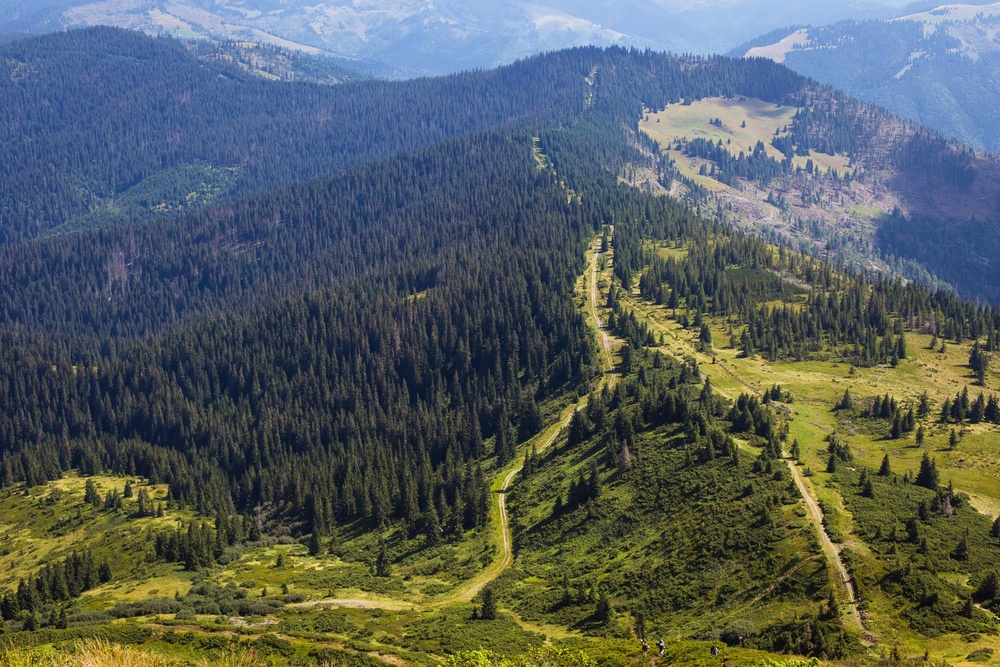 Карпатские горы Закарпатье