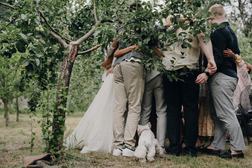 Паша и Алина | Свадьба в Яблоневом саду