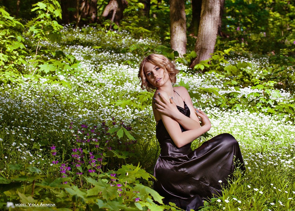 VIOLA in the forest