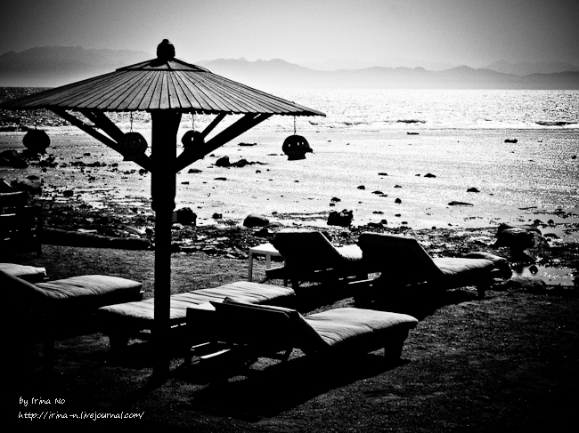 Travel - Egypt. Dahab