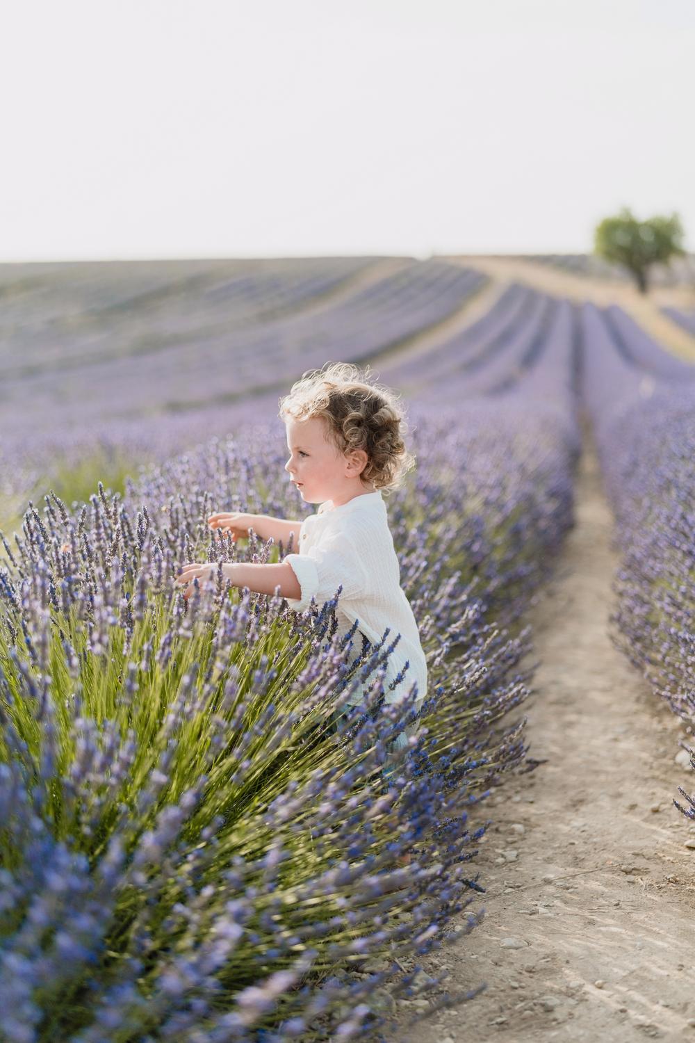 Provence Family Trip. Lavande fields, Gorge du Verdon, Moustier Sainte Marie