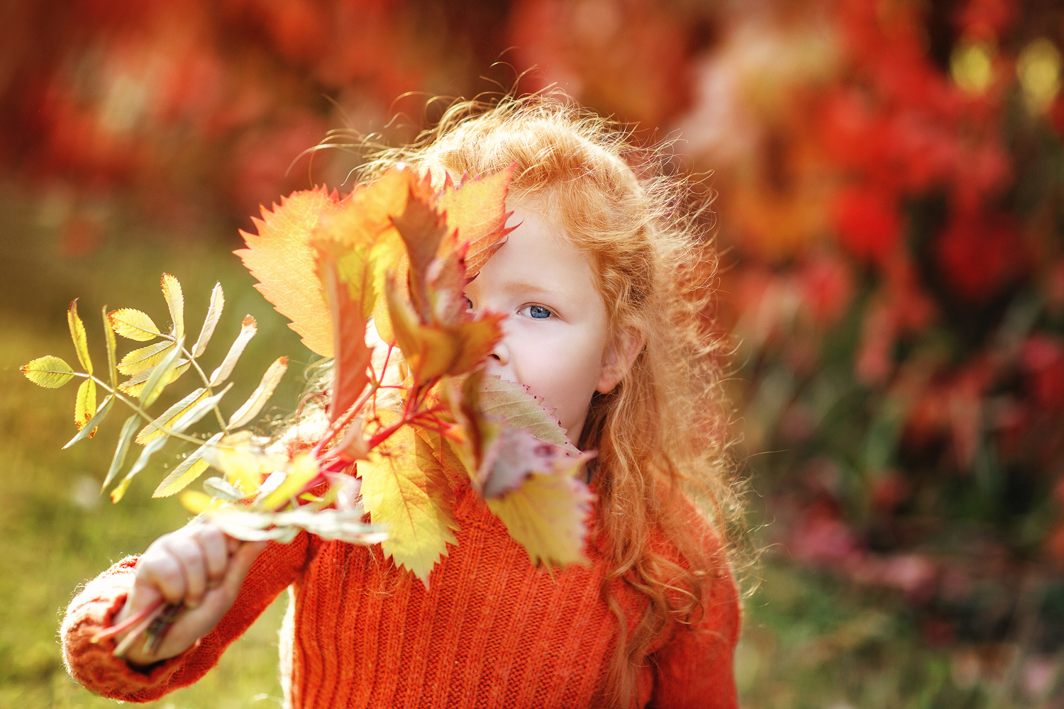 Чудо осень для детей