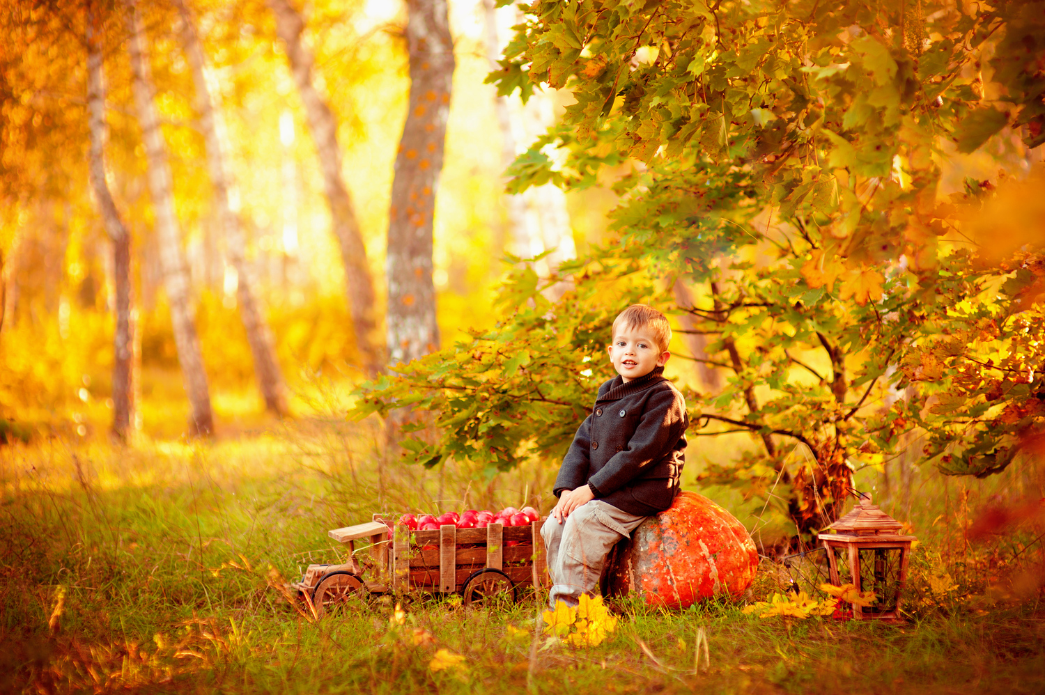 Дети на природе осень