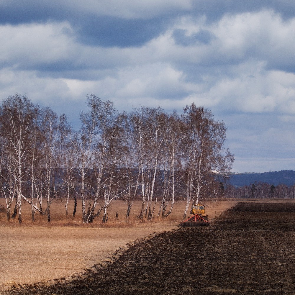 Landscapes