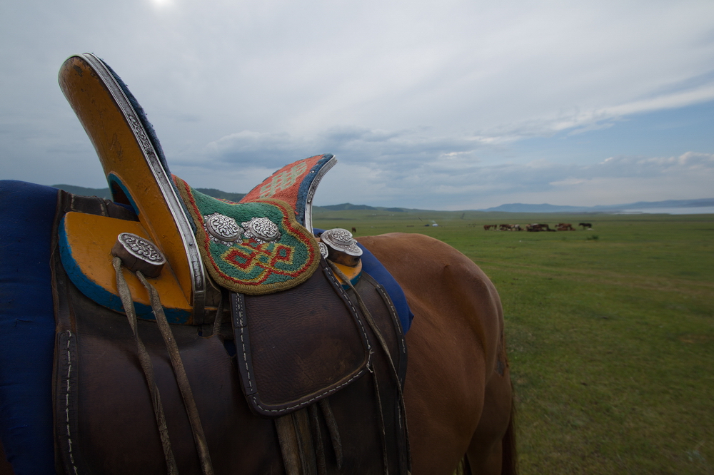 Монголия: Символы