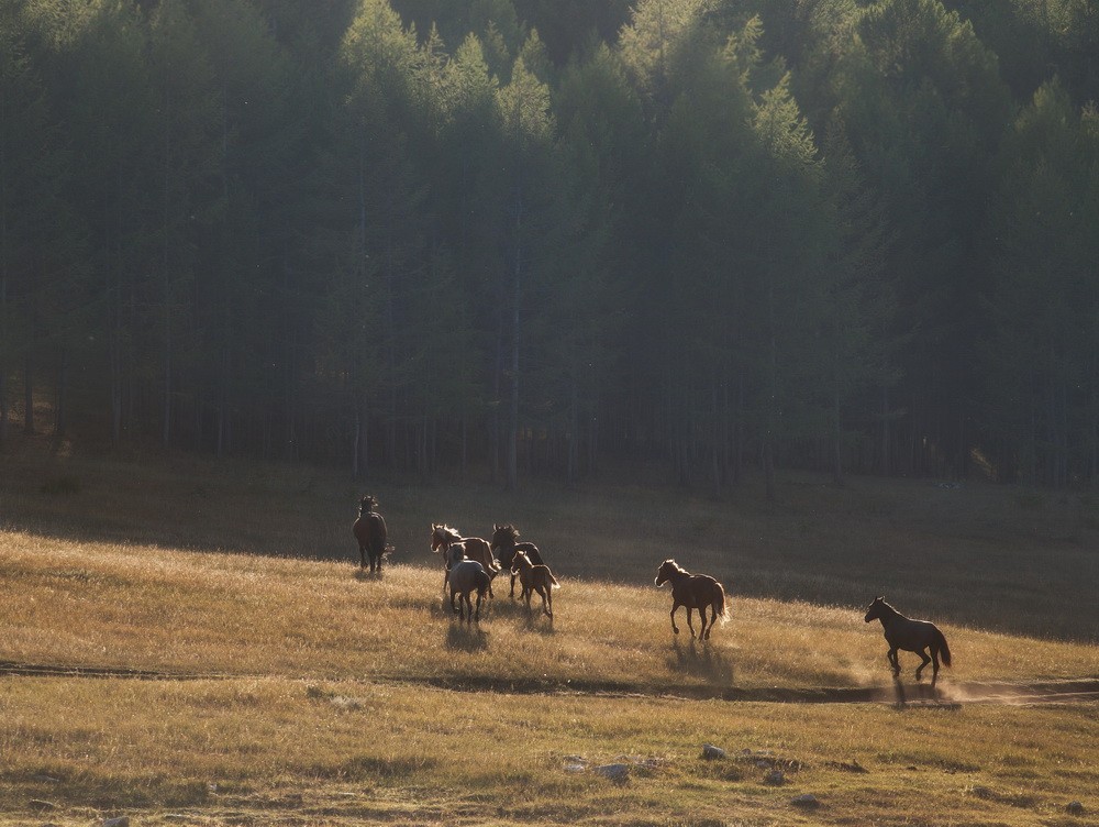 Baikal landscapes