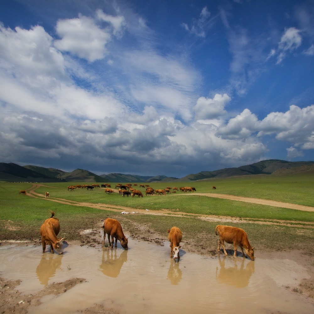 Mongolia: Landscapes