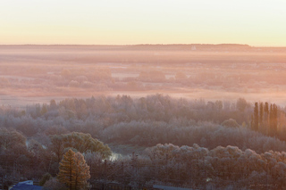 Морозное утро 