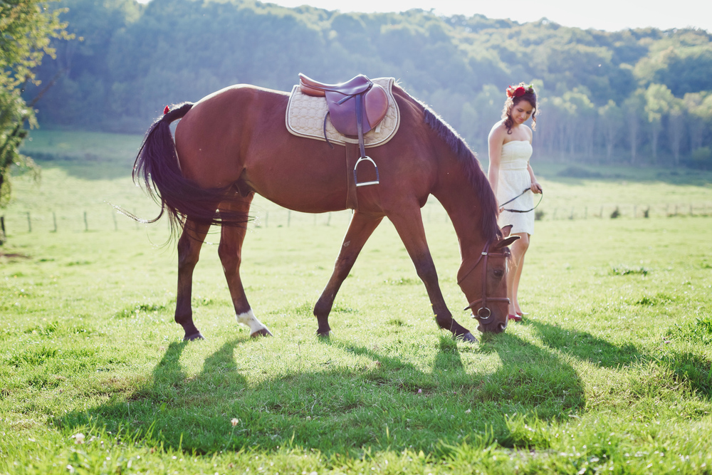 Autumn Equestrian Wedding