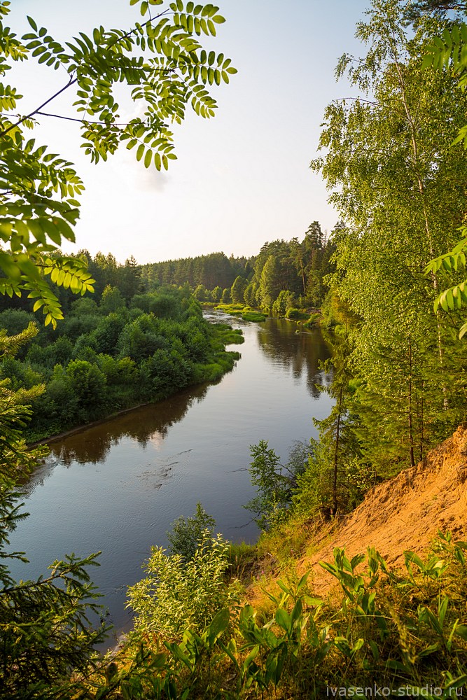 Природа Средней Полосы России Фото