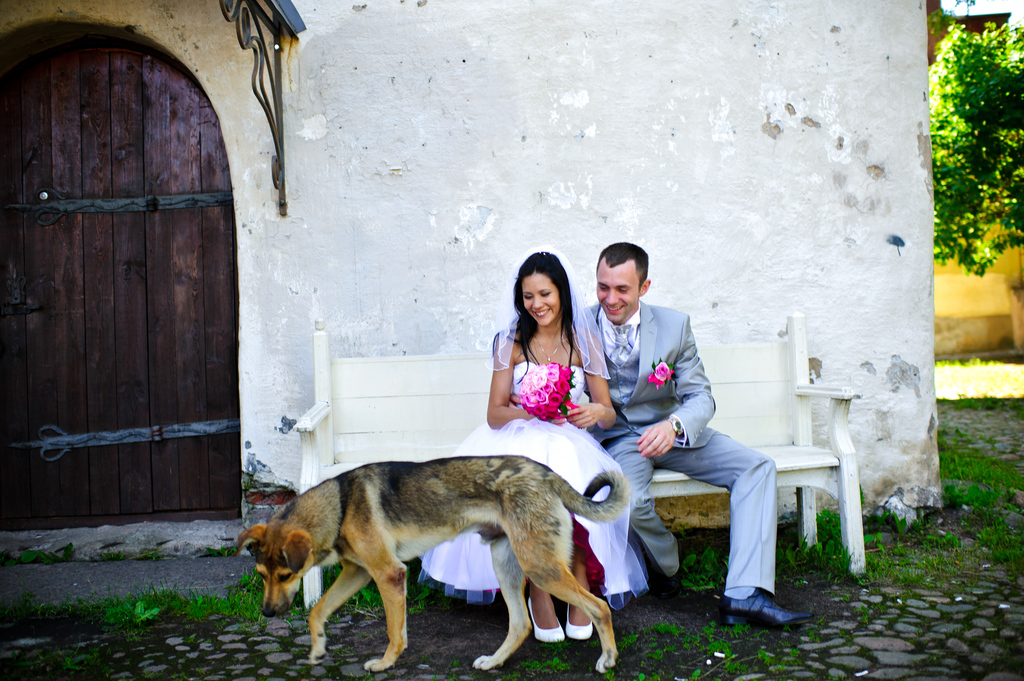 Свадьбы - Сергей и Дания