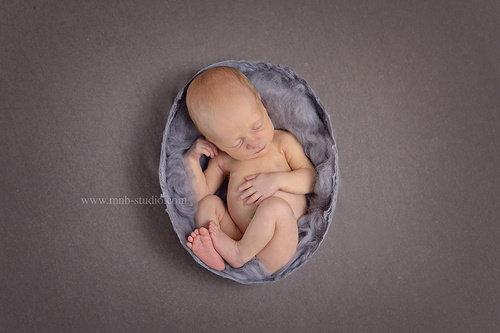 фотография новорожденных,фотосессия новорожденного