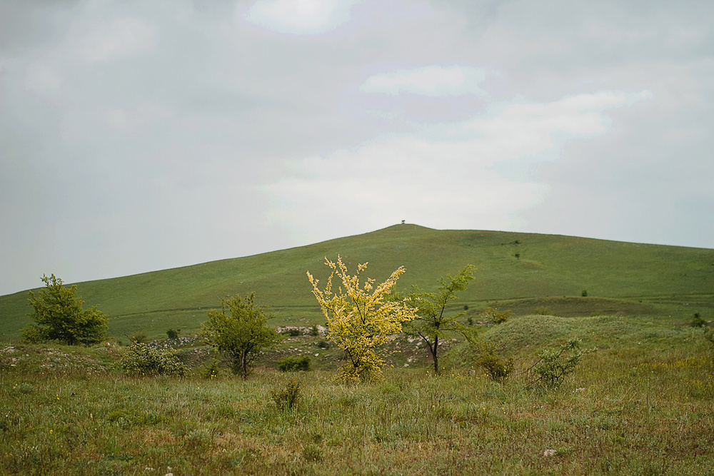 Путешествия. Крым. Белая скала.