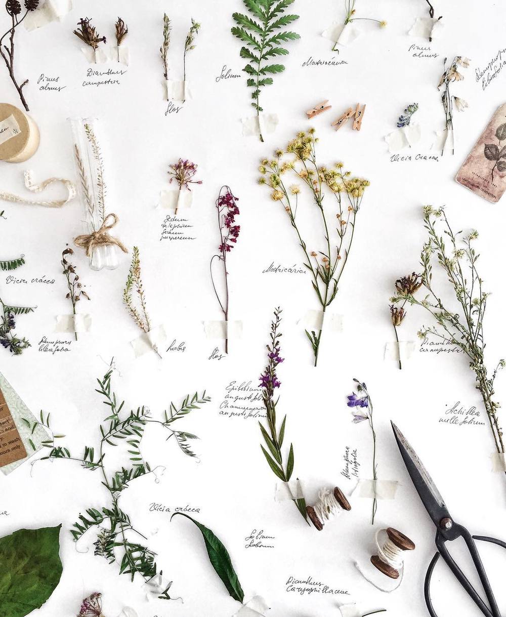 FLATLAY
