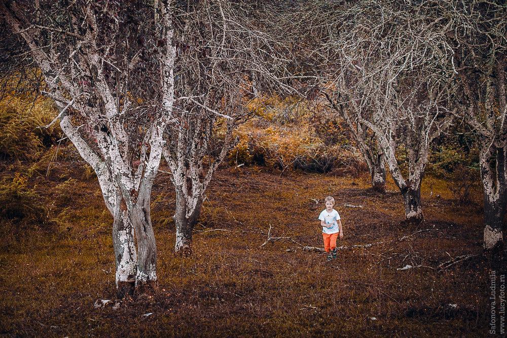 Дети  - Прогулка в сказочном лесу