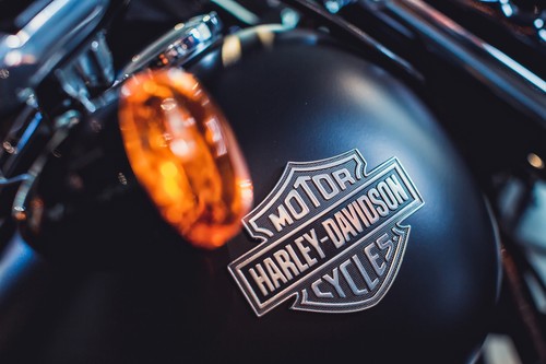 Natali & Harley-Davidson