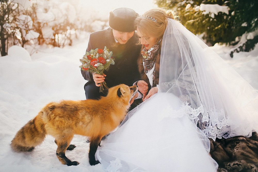 Wedding - Никита и Юлия
