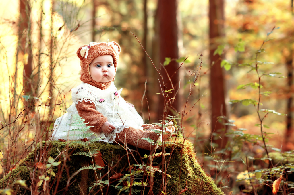 Bären im Wald...