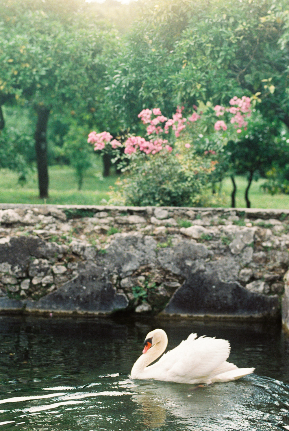 Gardens of Ninfa in Italy