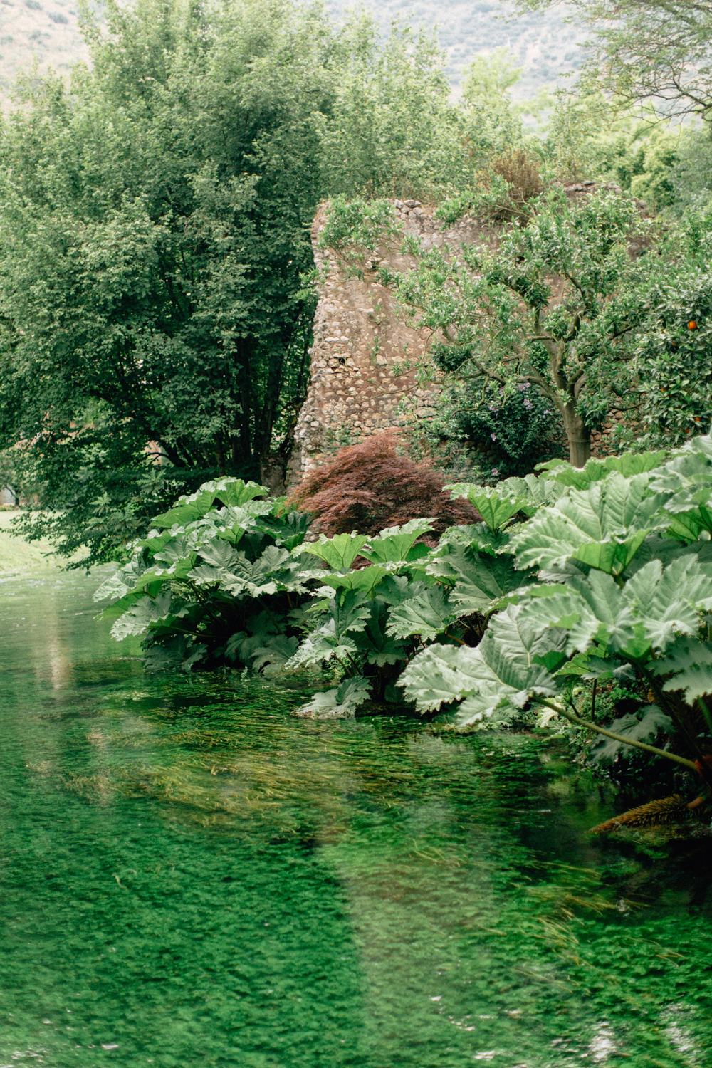 Gardens of Ninfa in Italy