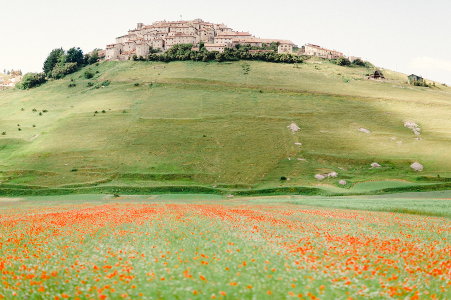 The Flowering of Castelluccio di Norcia Film