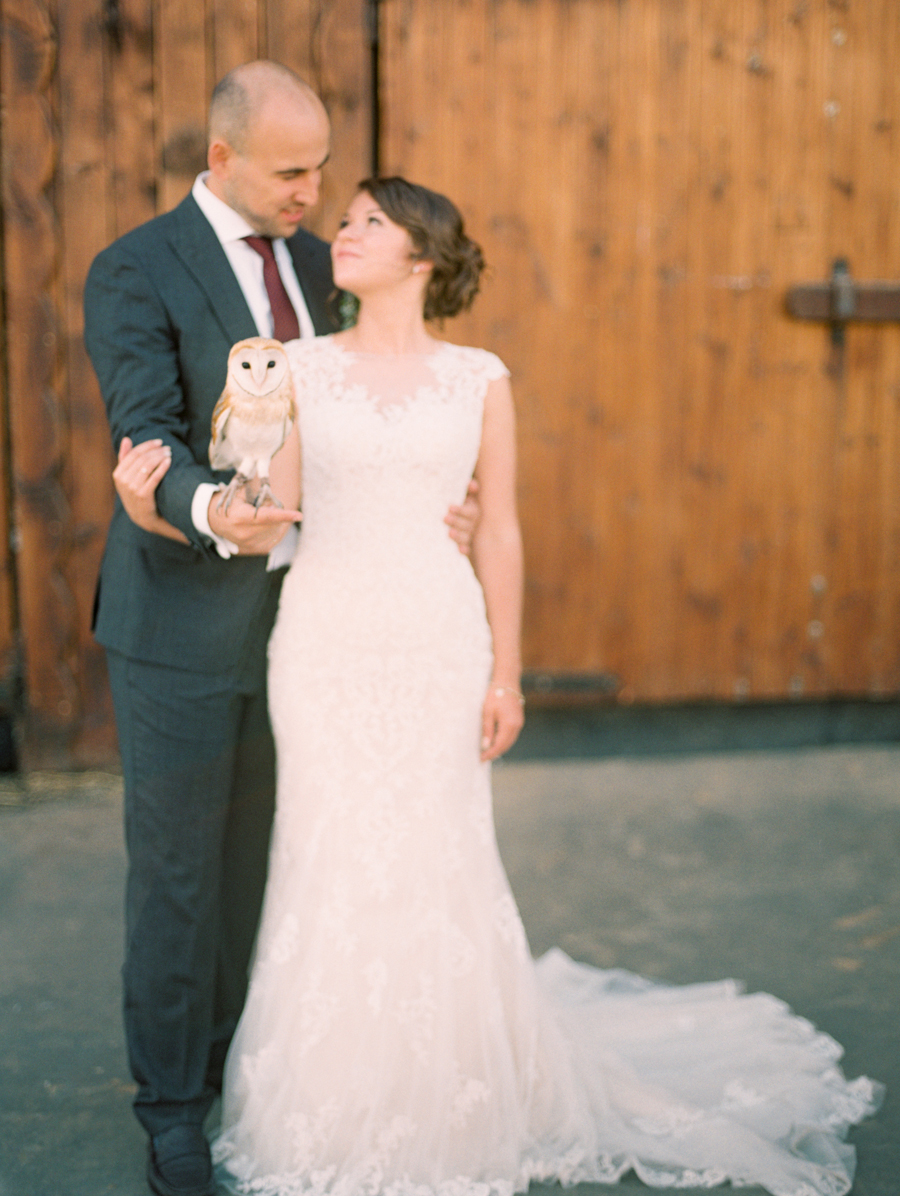 Rustic wedding with horses and owl in Dobromysli Film