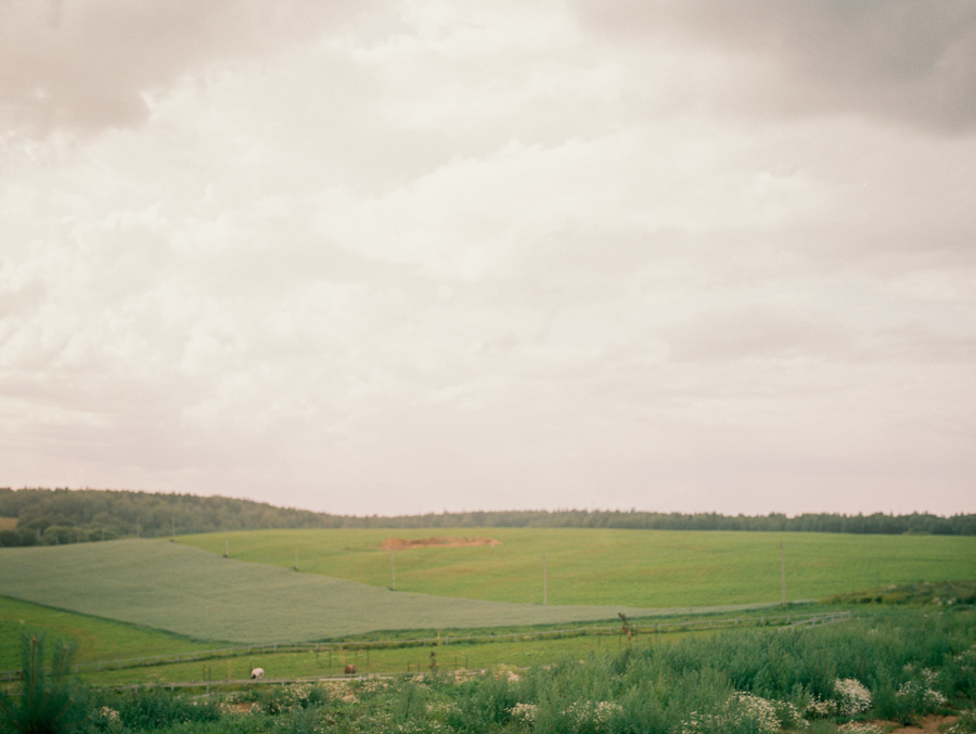 Rustic wedding with horses and owl in Dobromysli Film