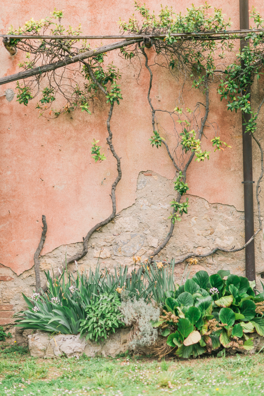 Colorful Tuscan Wedding in Montestigliano Film