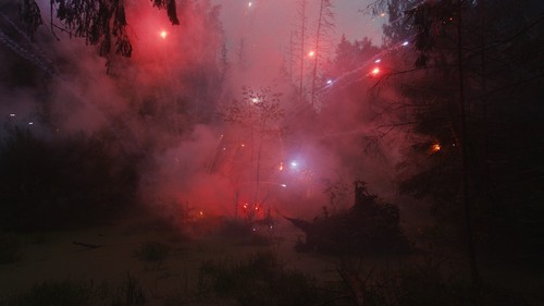 FIREWORKS ON THE SWAMP