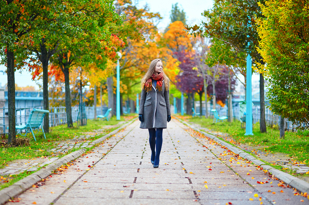 Parisian golden autumn