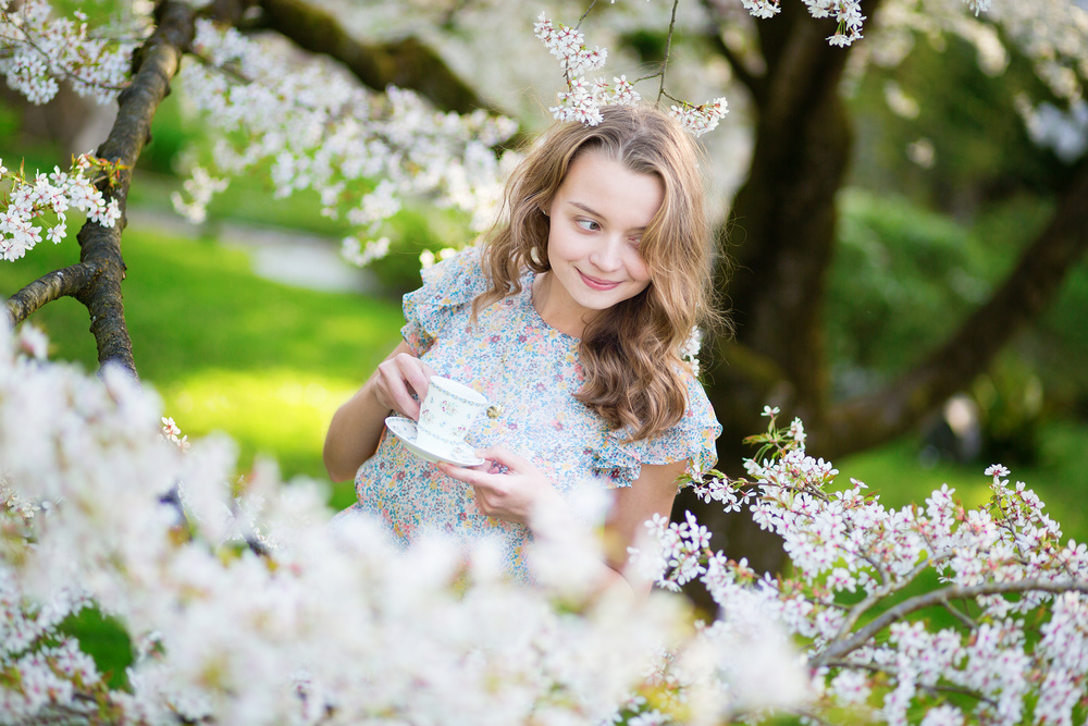 Cherry blossom