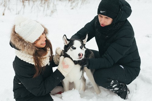 Маша Вова & Грей